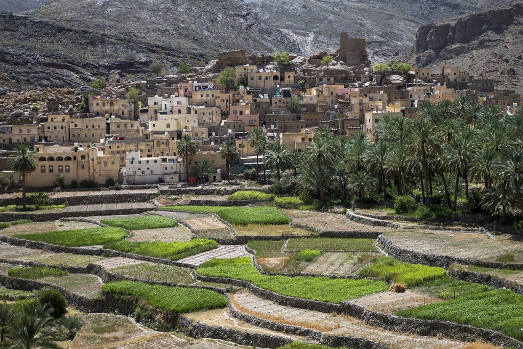 Discovery walk in the villages of Jabel Al Akhdar Mountains - 2h00 - Private