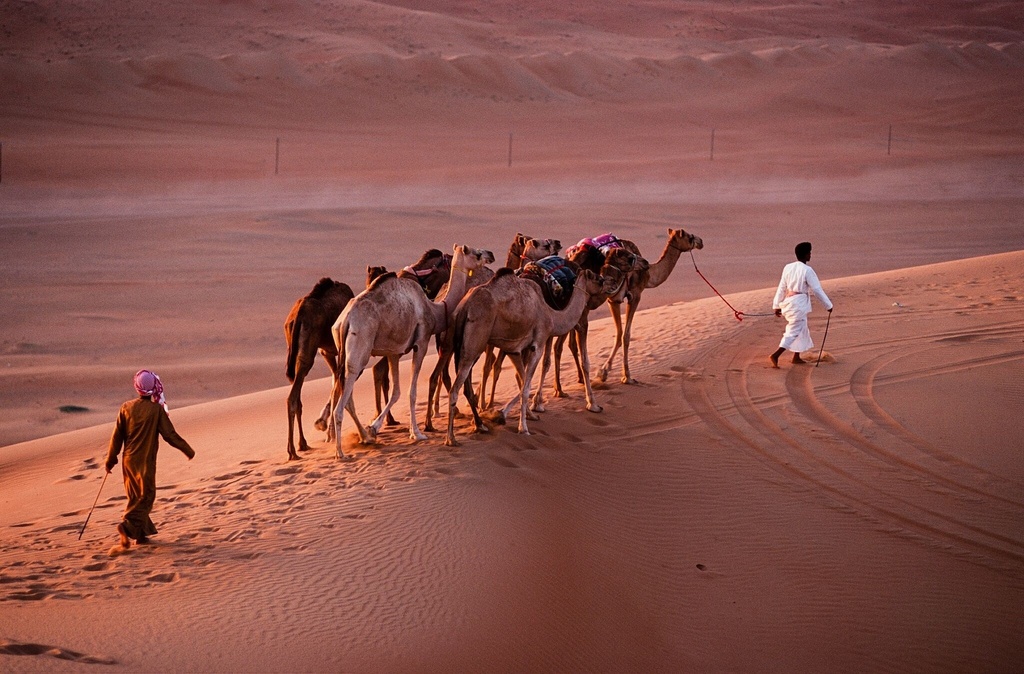 Escort : Al Wasil Road <-> Desert Camp - Journey / Car
