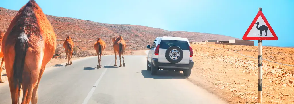 Private Transfer - Dakhiliyah - Sharqiyah